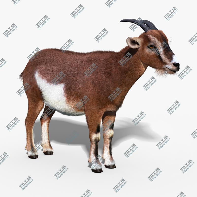 images/goods_img/20210319/Goat (FUR)/1.jpg